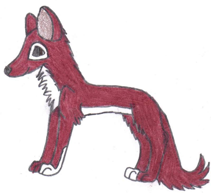 Jack (new red faced pup version)