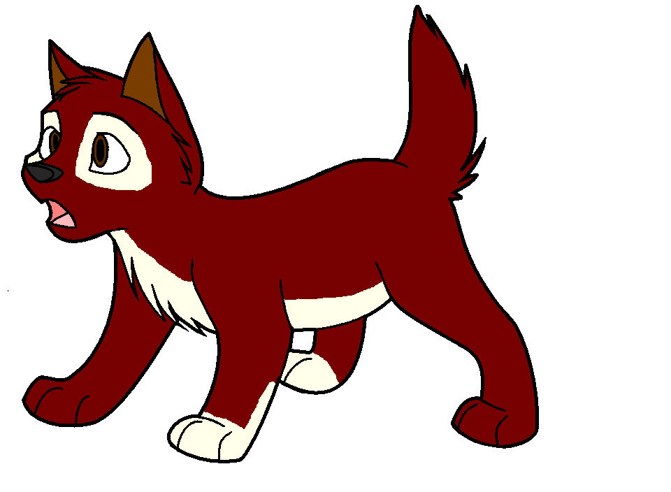 Jack 