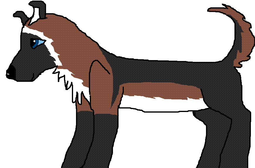 New char Falon