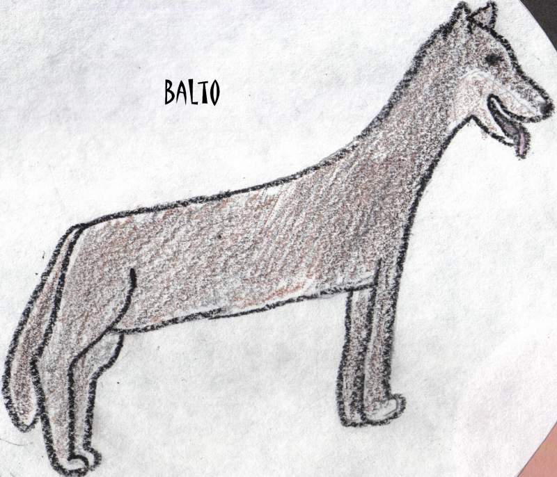 BALTO!!