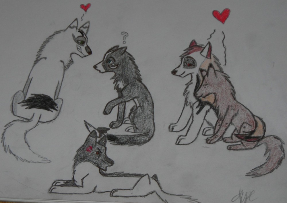 Bloodwolf Gang