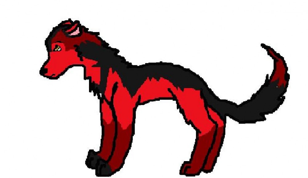 New Char!!