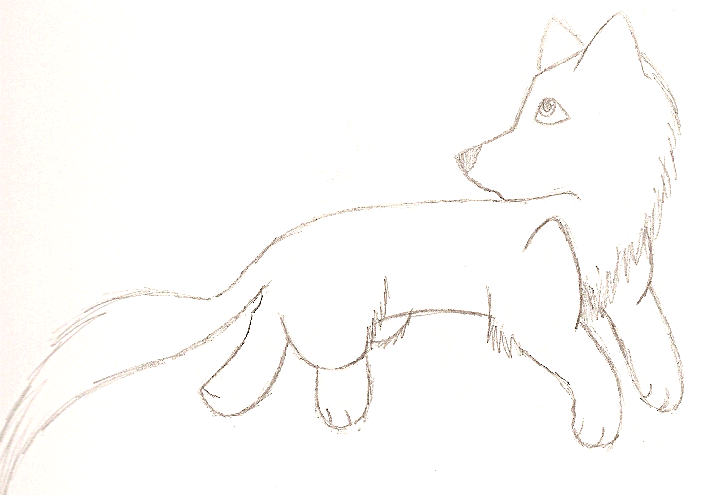 Puppyish Sketch