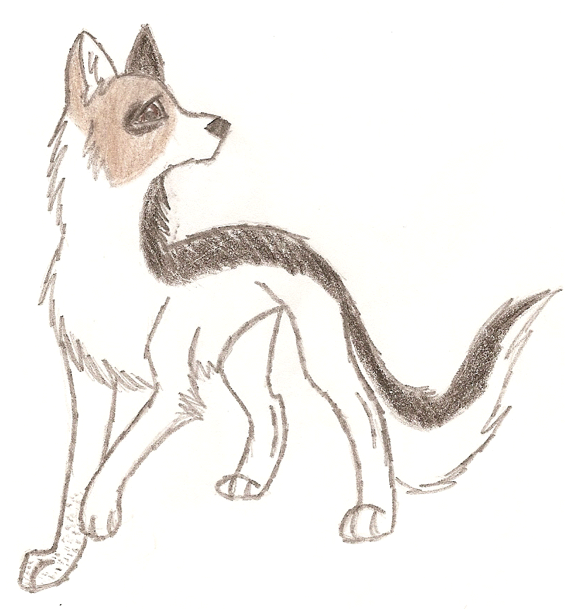 Request from Tadie
