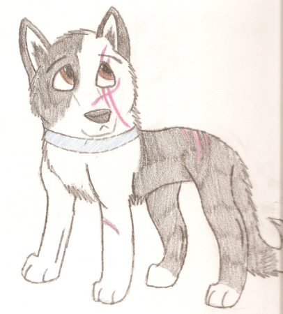 New Character - Kyte