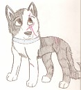 New Character - Kyte