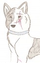 Kyte 2