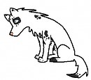 New Character: Australia