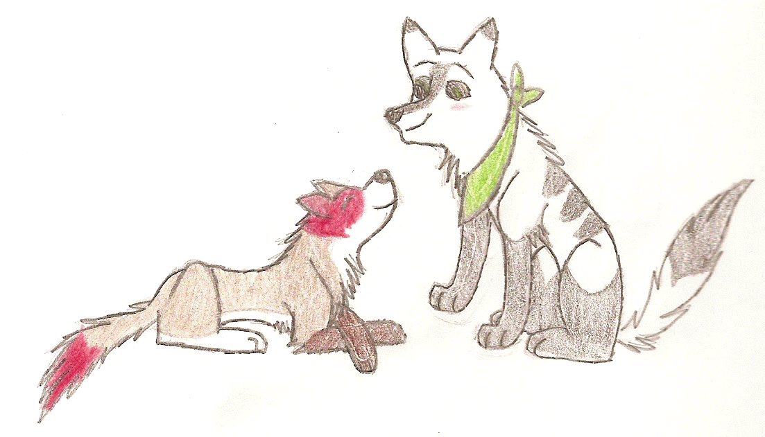 Alikay and Amleto <3 Giftie for Street Dog