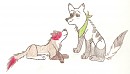 Alikay and Amleto <3 Giftie for Street Dog