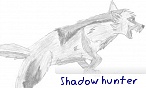 shadow hunter