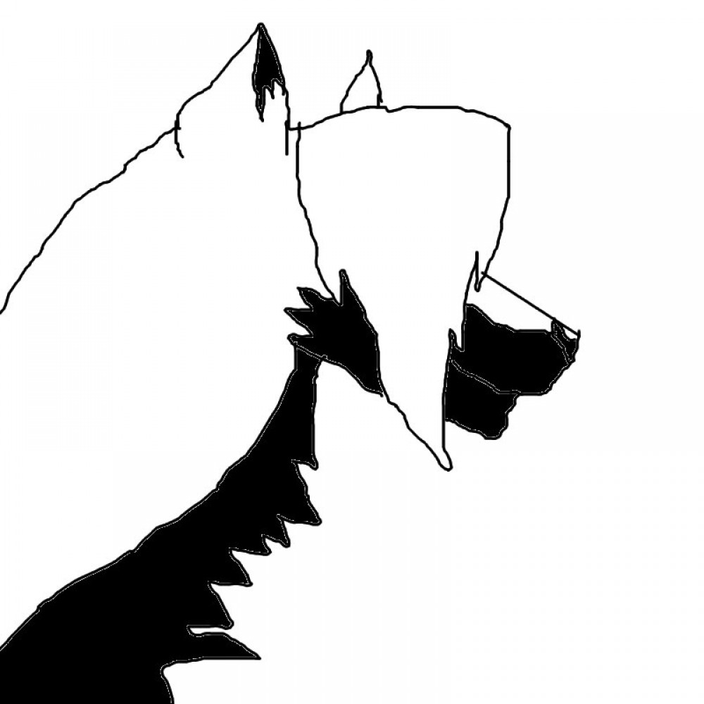 Black cloud
