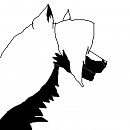 Black cloud