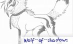 wolf_of_shadows
