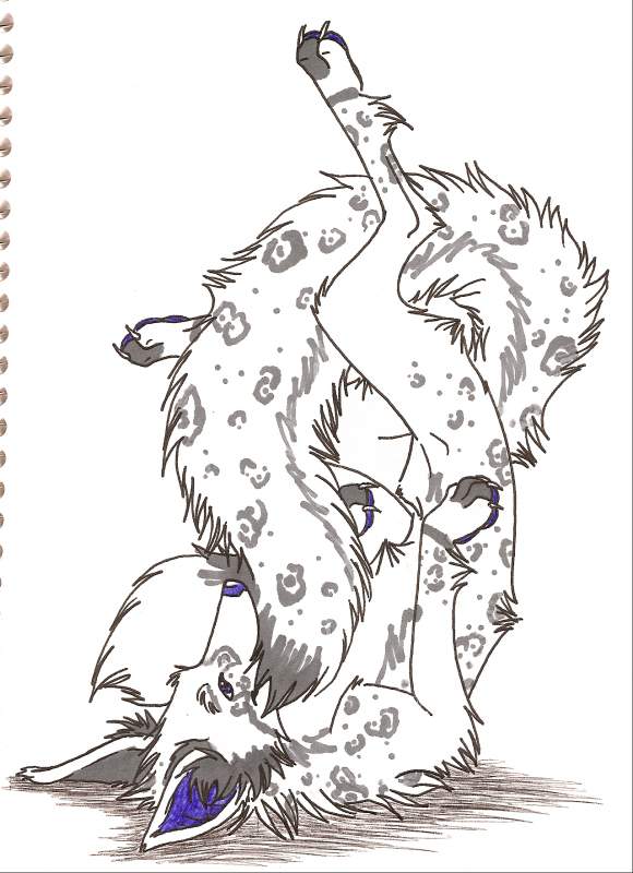 Elliot