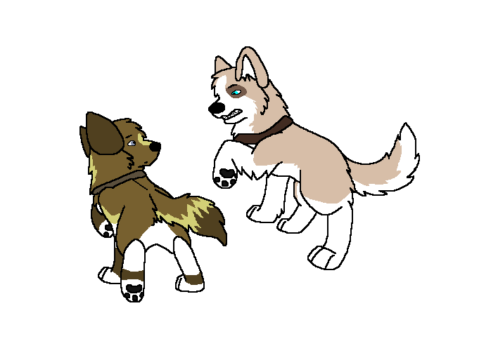 Romeo and Steeler