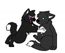 Rose and Braken