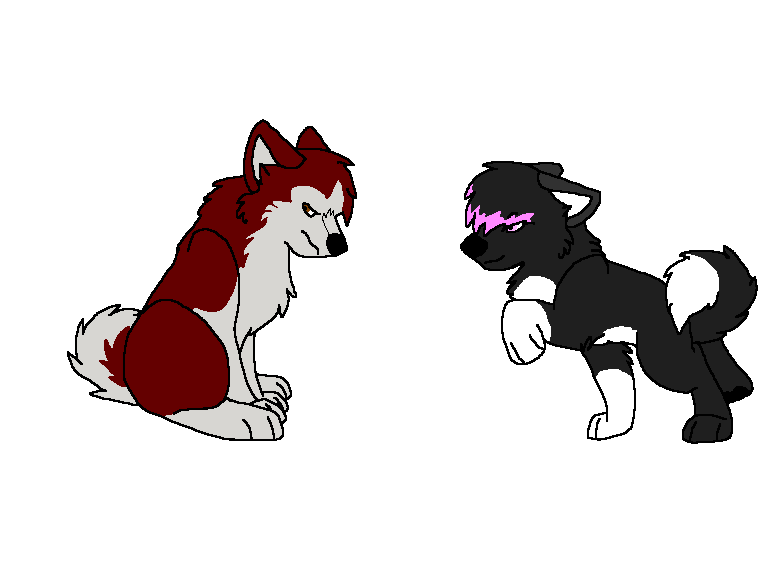 Rose and Kodi meet