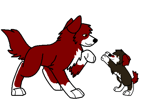 Takado and Rane