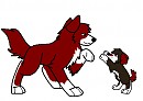 Takado and Rane