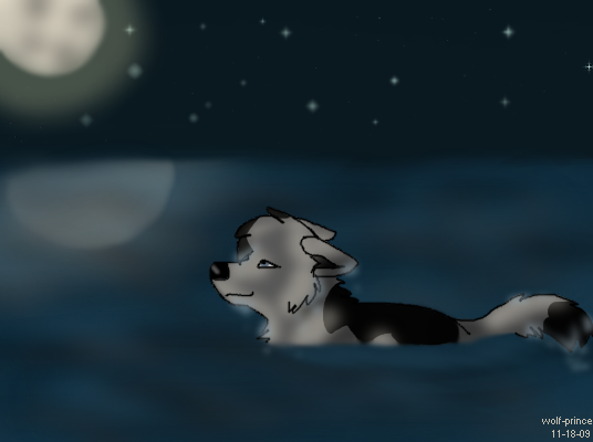 Follow the Stars