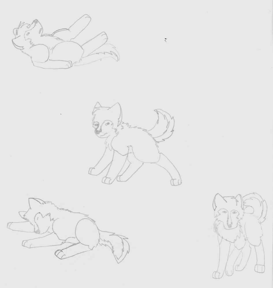 dakota drawings