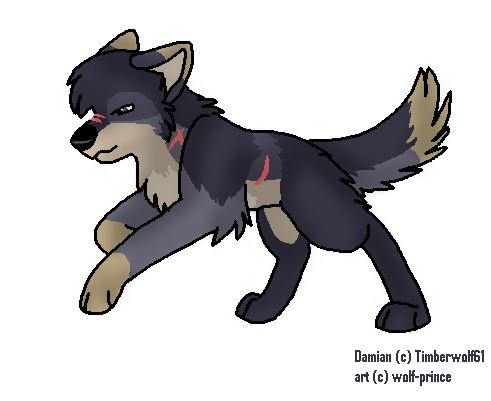 Damian for Timberwolf61