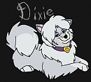 Dixie oO