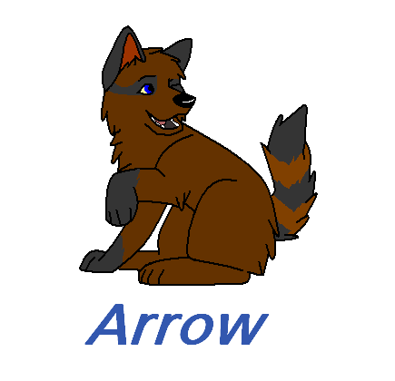 Arrow for Dragon Tamer