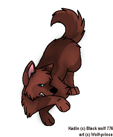 Kadin for Black wolf 776