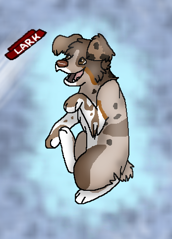 Lark (Trade)