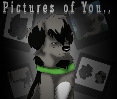 Pictures of You; Pictures of Me