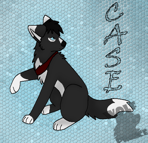 Case (Trade)