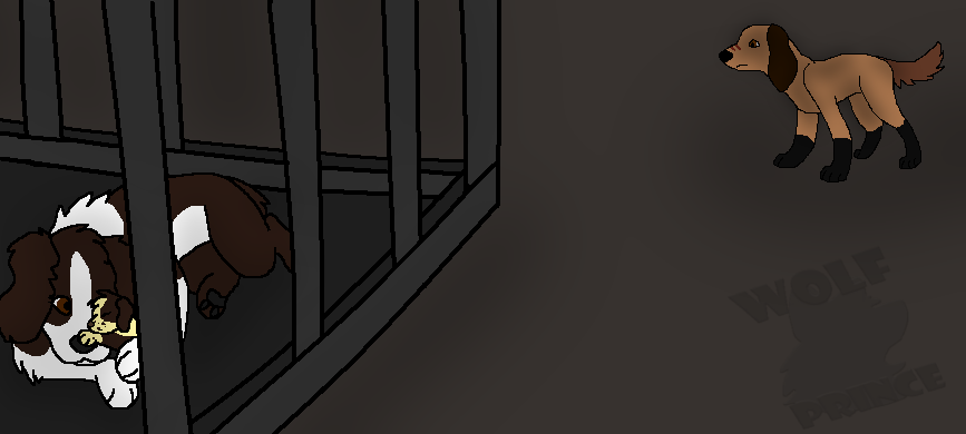 Request for Lush the Shepherd