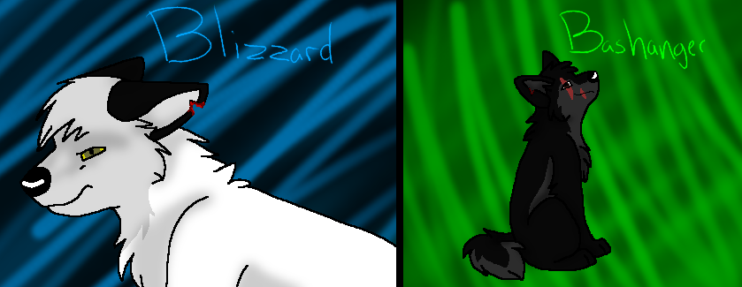 Request for Noss5