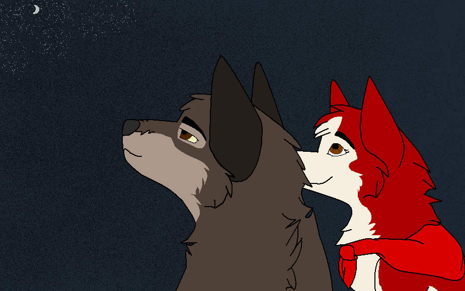Watchin the Night Sky