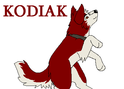 Kodi Kodi Kodi Kodi