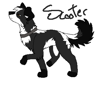 Scooter for Alpha-Wolf