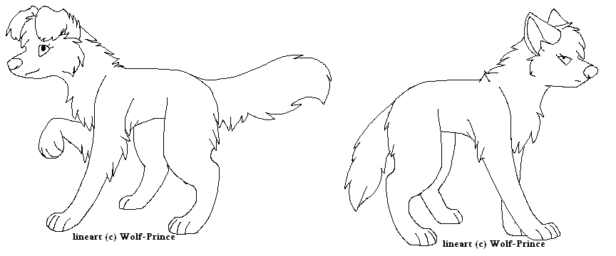 request for Jett 17