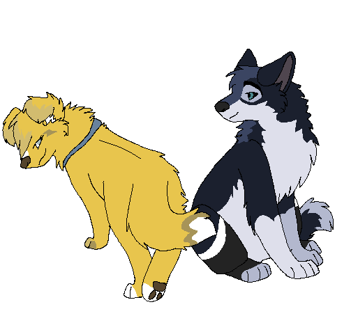 Rii and Brady
