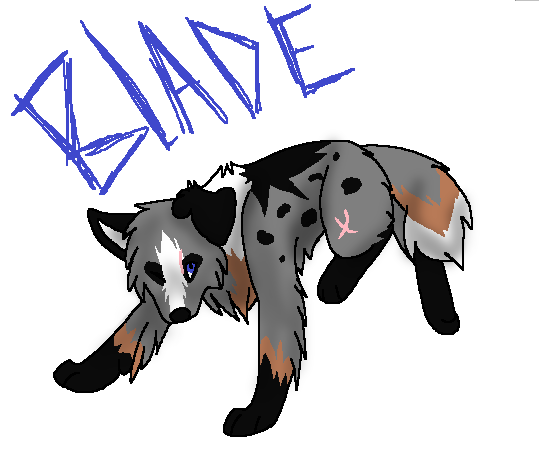 Prize2 - Moki Hunter