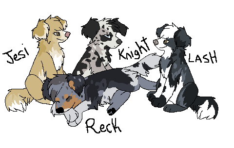 My Aussies x3