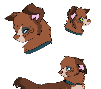 Shani~