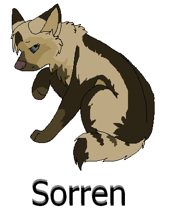 Sooorreeen