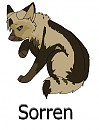 Sooorreeen
