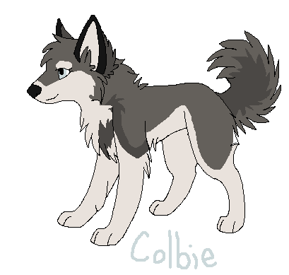 Colbie 