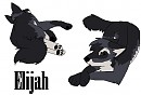 Elijah~