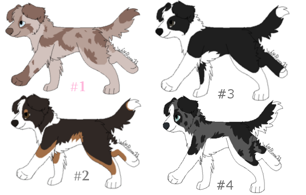 Adoptables