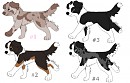 Adoptables