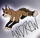 Prize for Anileu (1/2)
